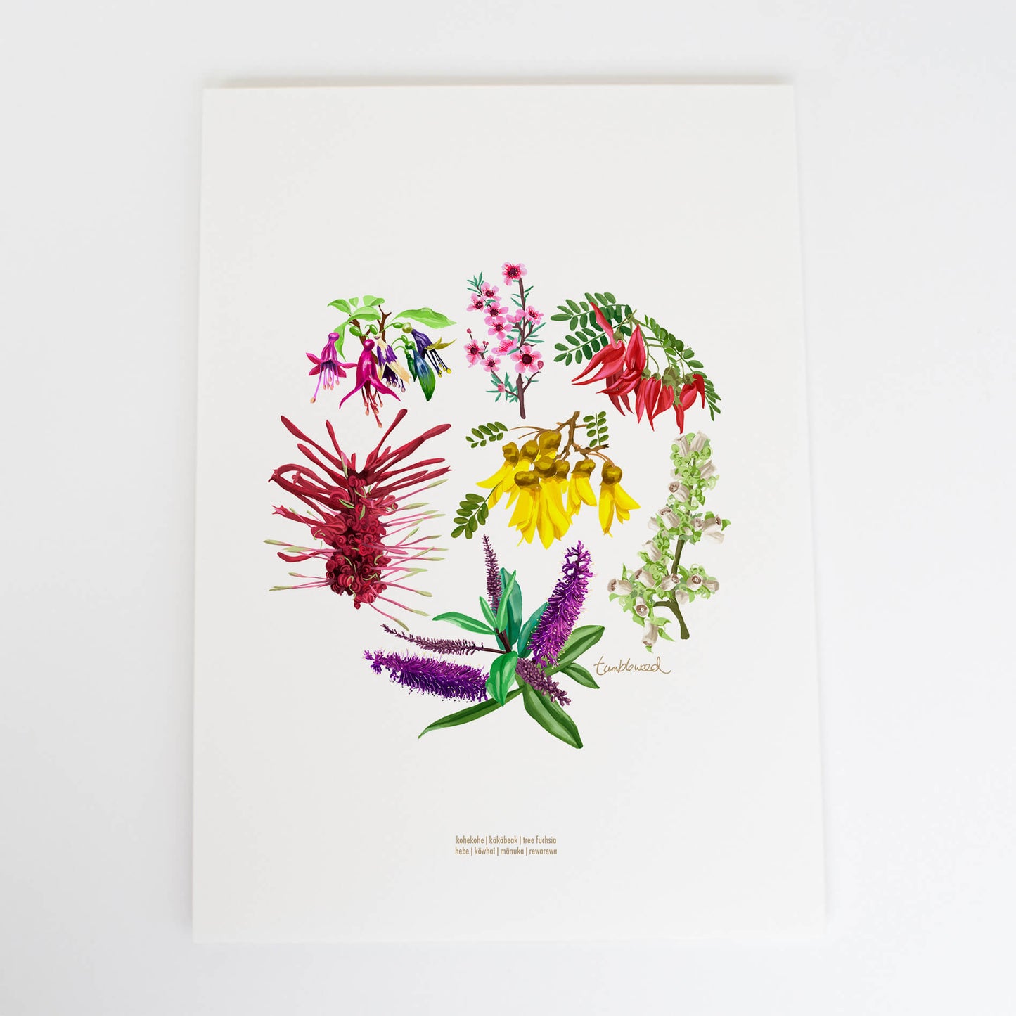 Floral Colour Art Print