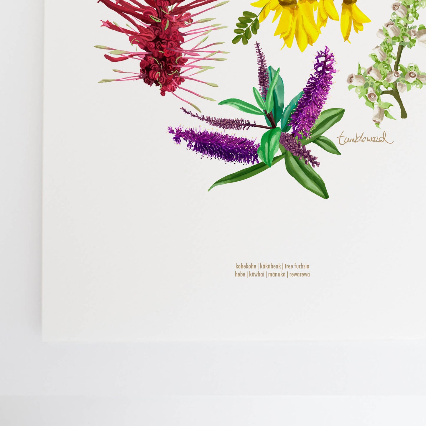 Floral Colour Art Print