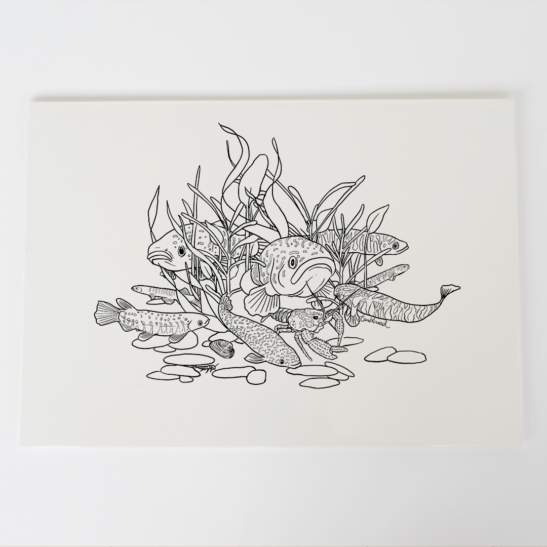 Freshwater Art Print