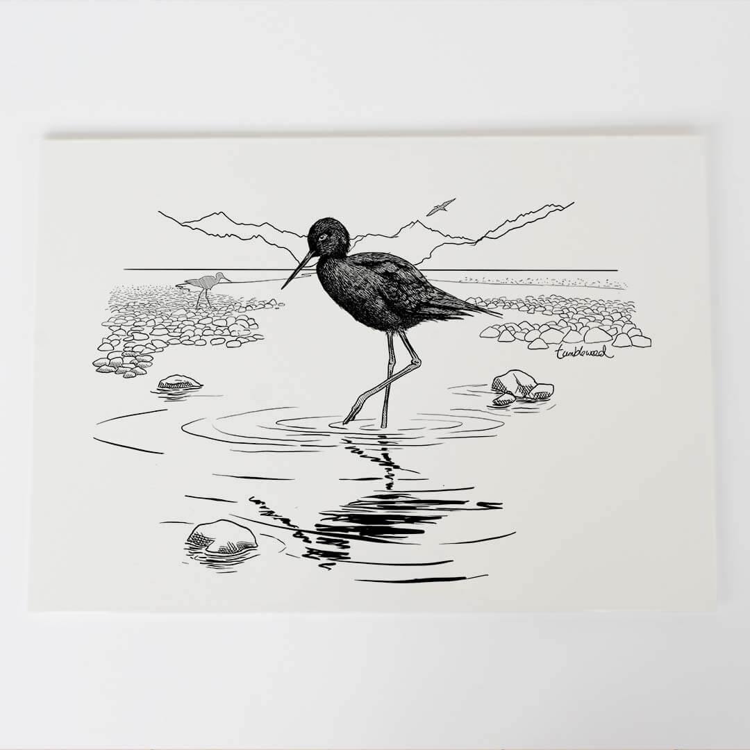 A4 art print of featuring Black stilt/Kakī design on white archival paper.