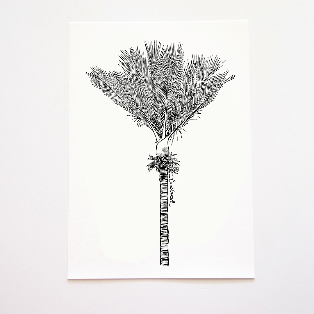 Nīkau Art Print