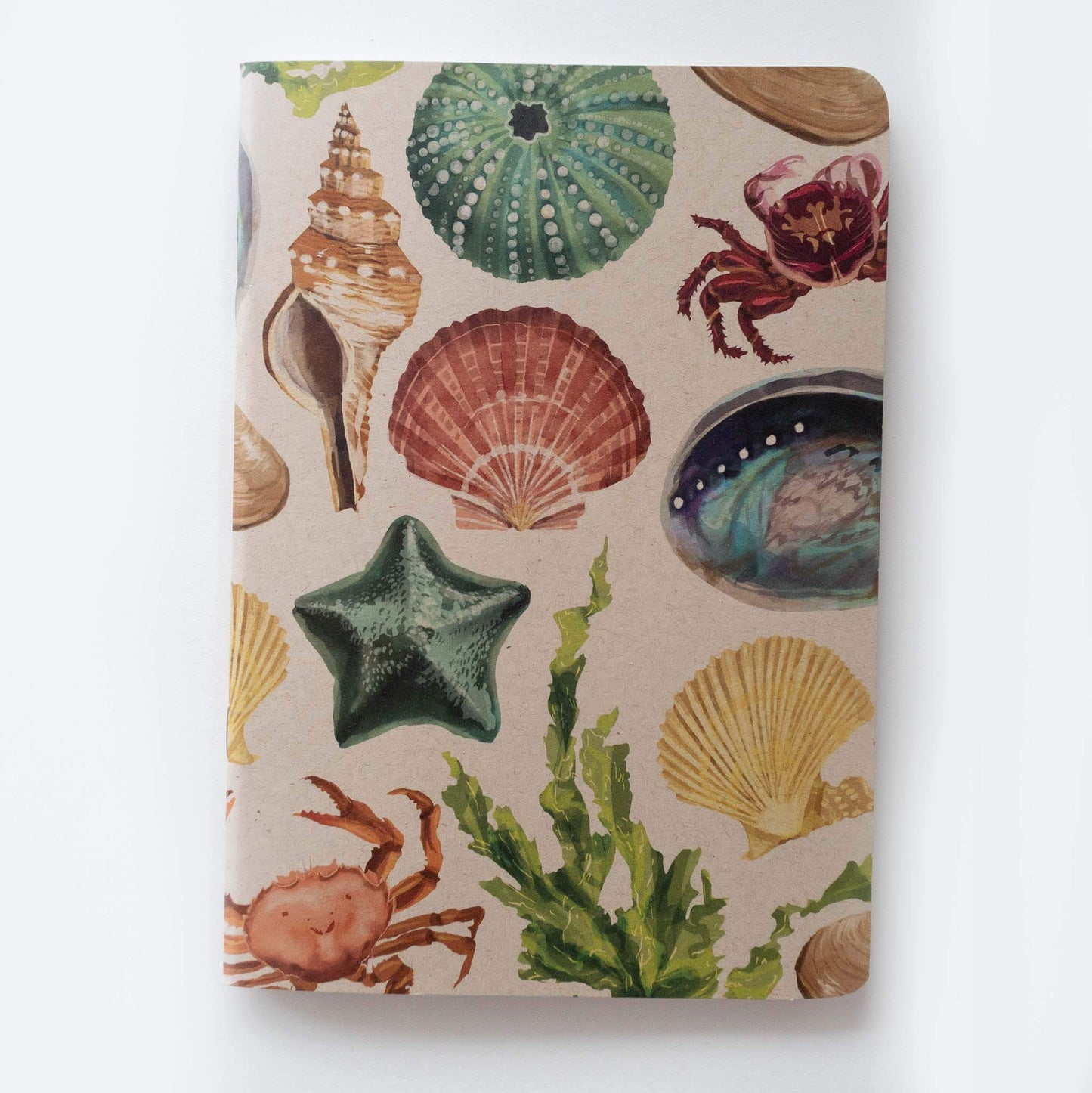 Kraft cover, painted NZ beach notebook with rounded corners