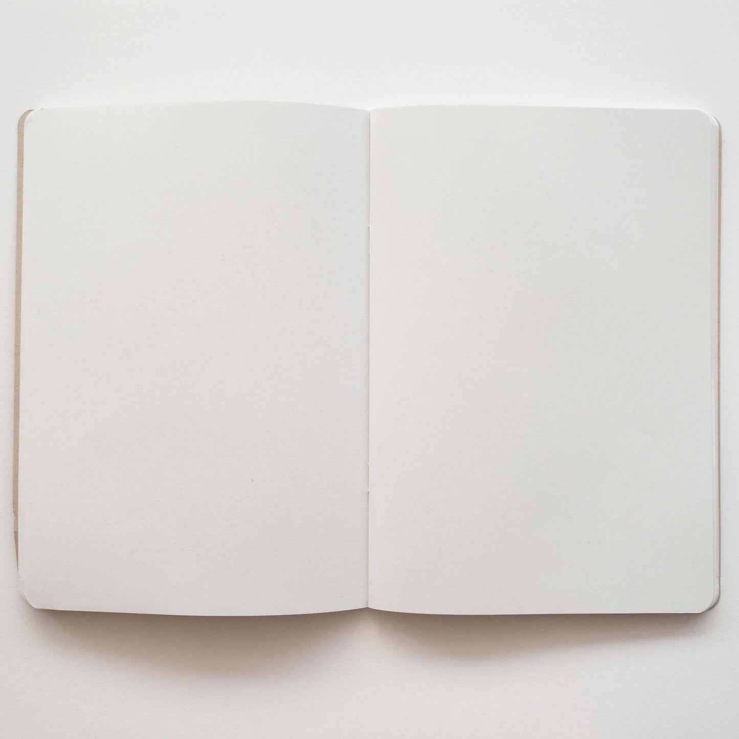 Sirocco the Kākāpō Notebook