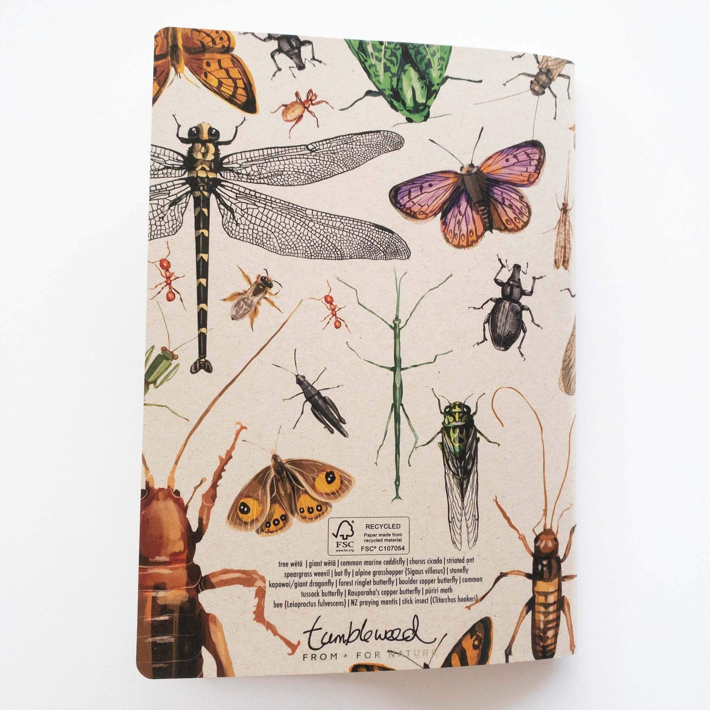 Painted Insect Notebook
