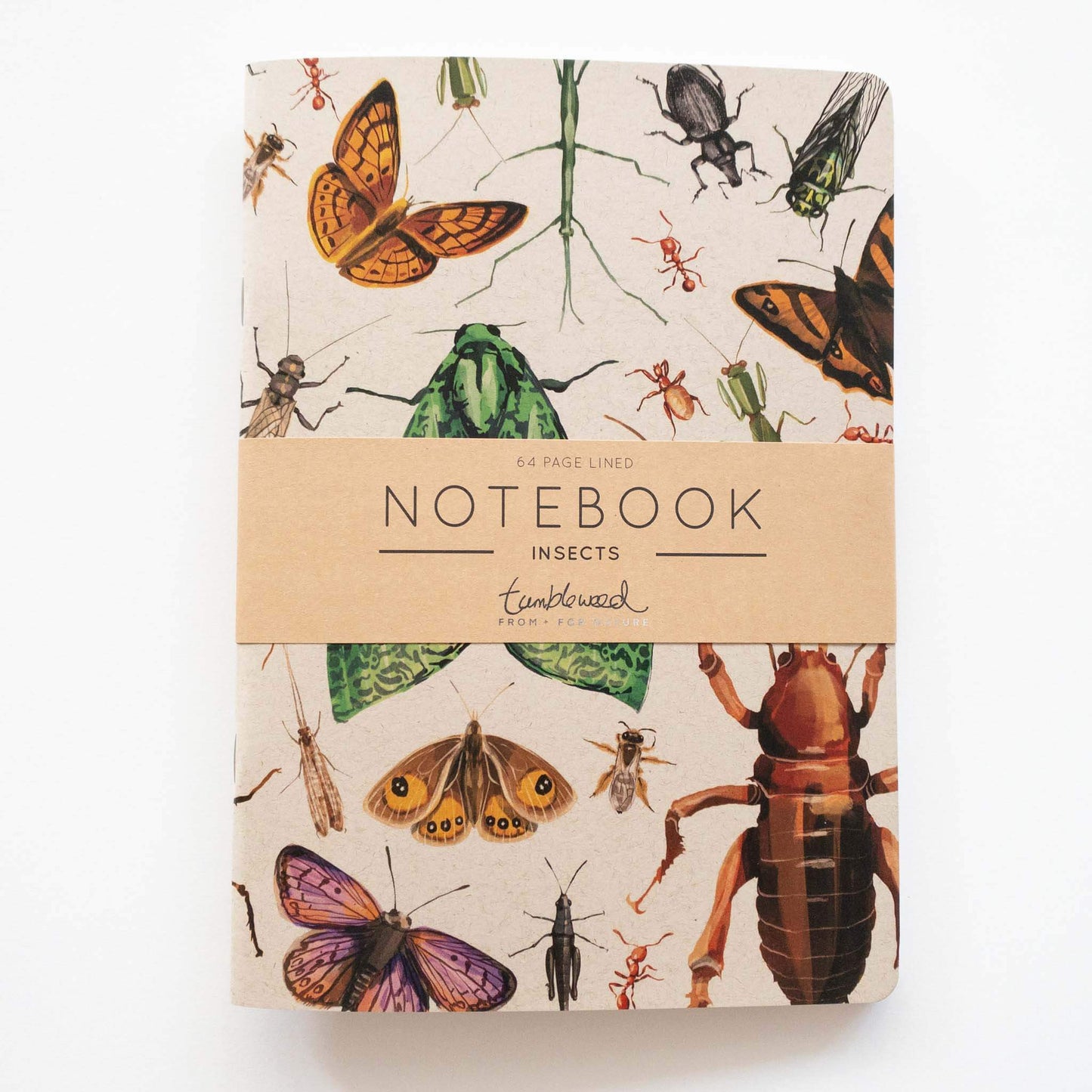 Painted Insect Notebook
