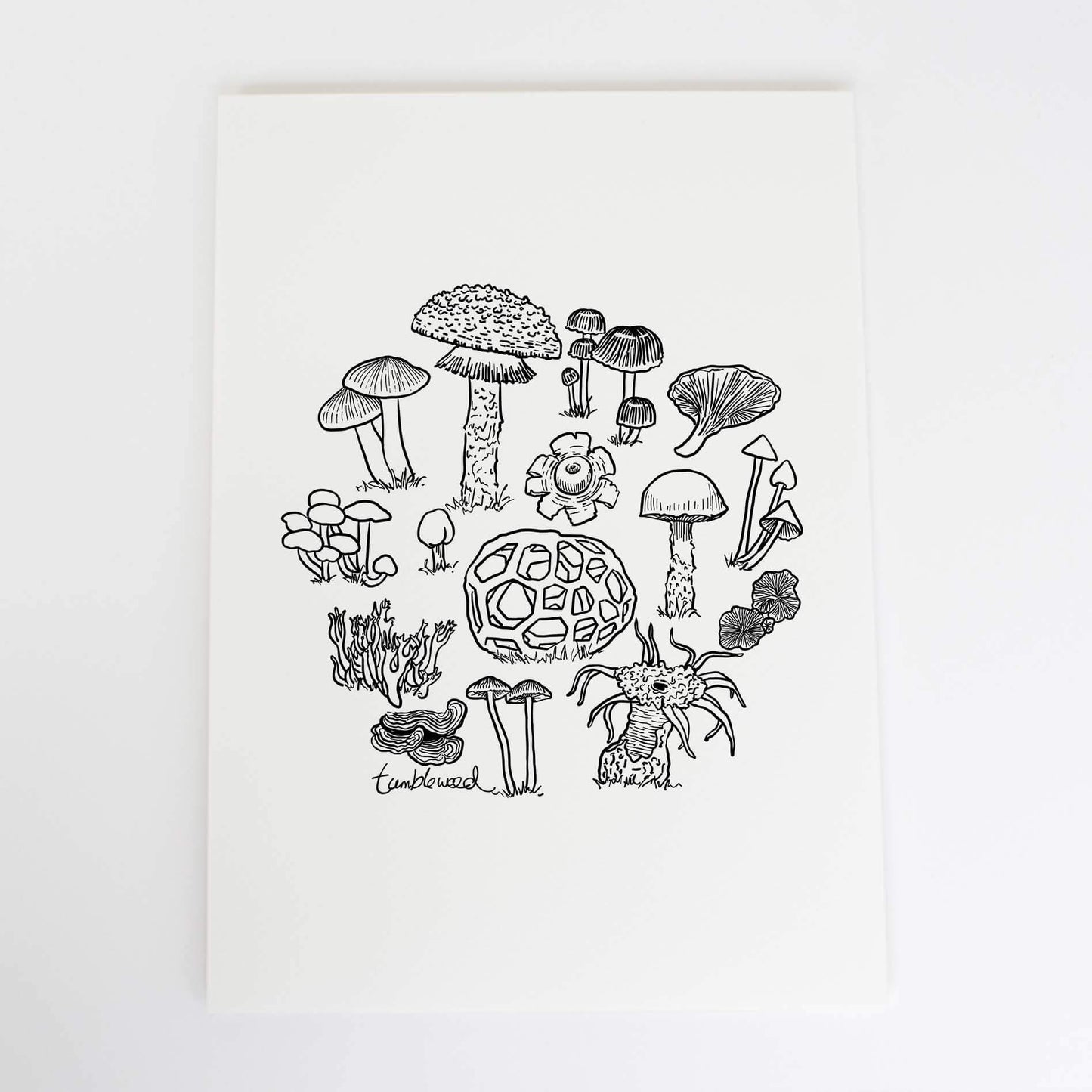 Fungi Art Print