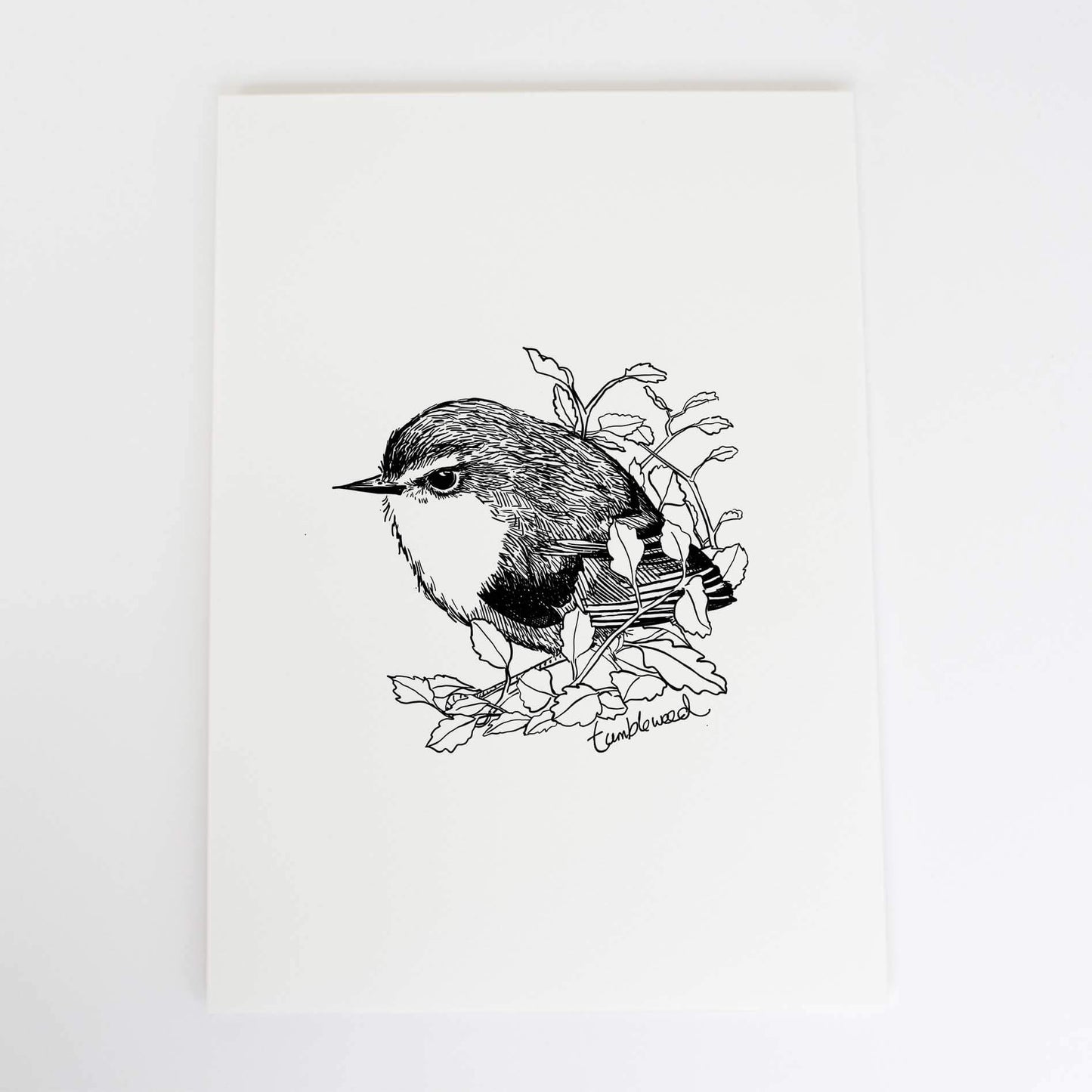 Titipounamu/rifleman Art Print