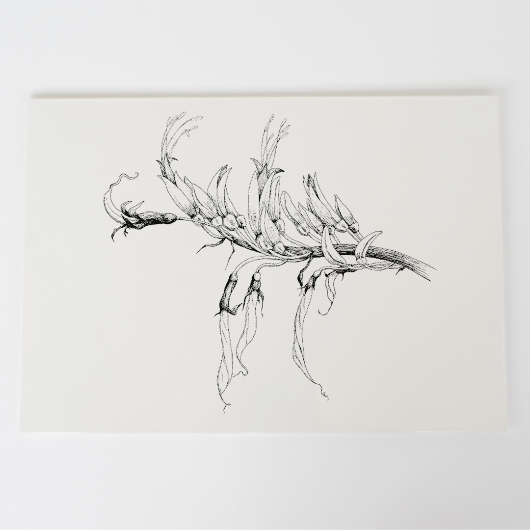 Mountain Flax Art Print