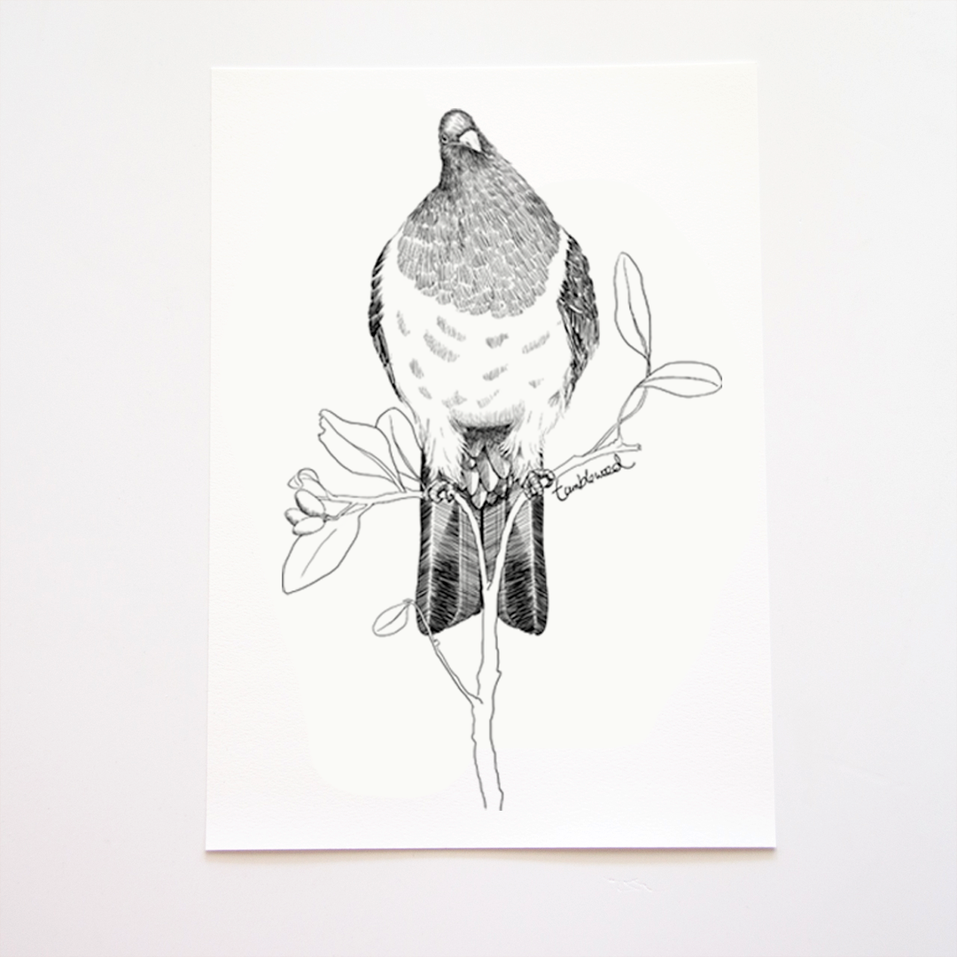 Kererū Art Print