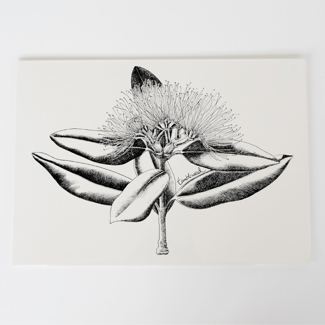 Pōhutukawa Art Print