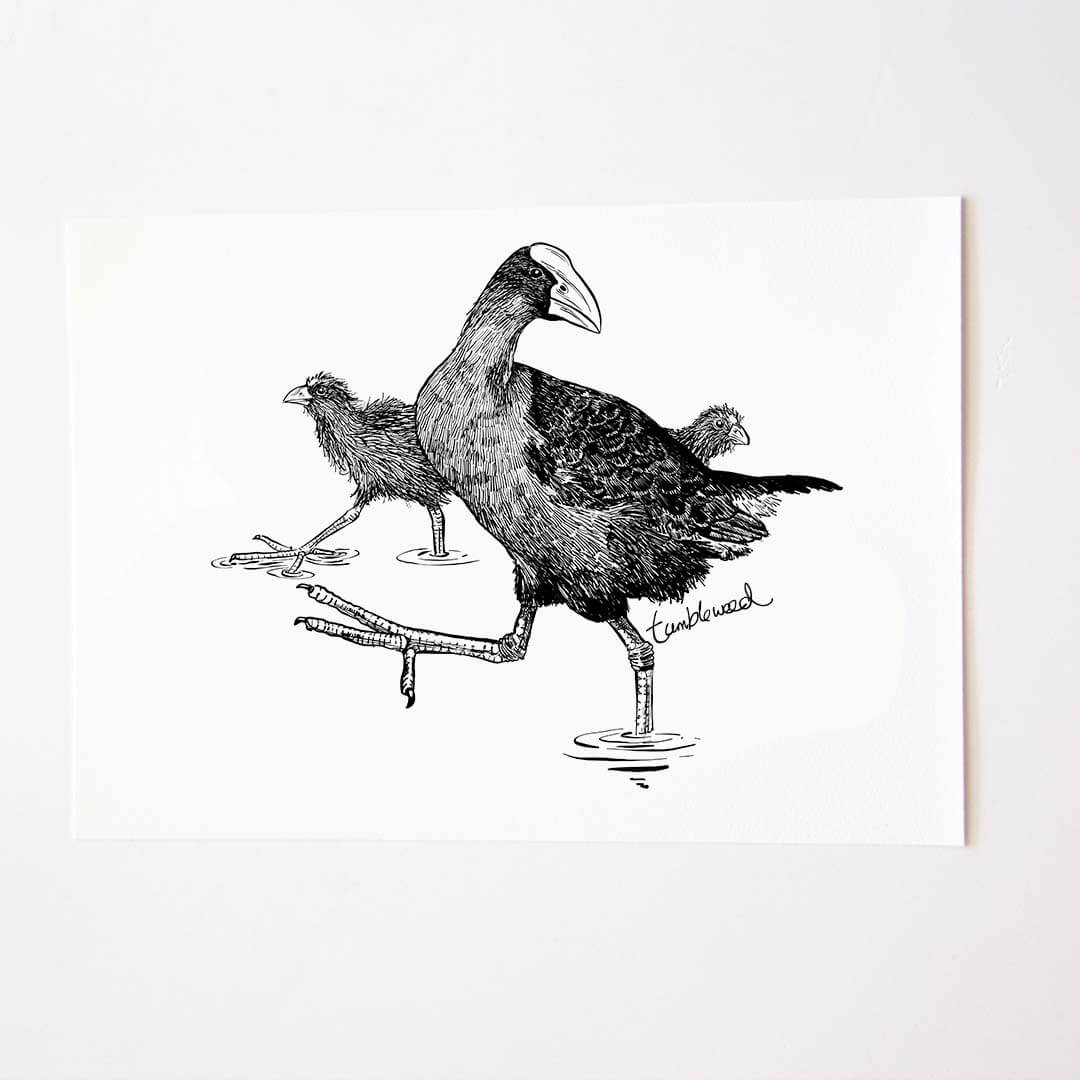 A4 art print of featuring Pūkeko design on white archival paper.