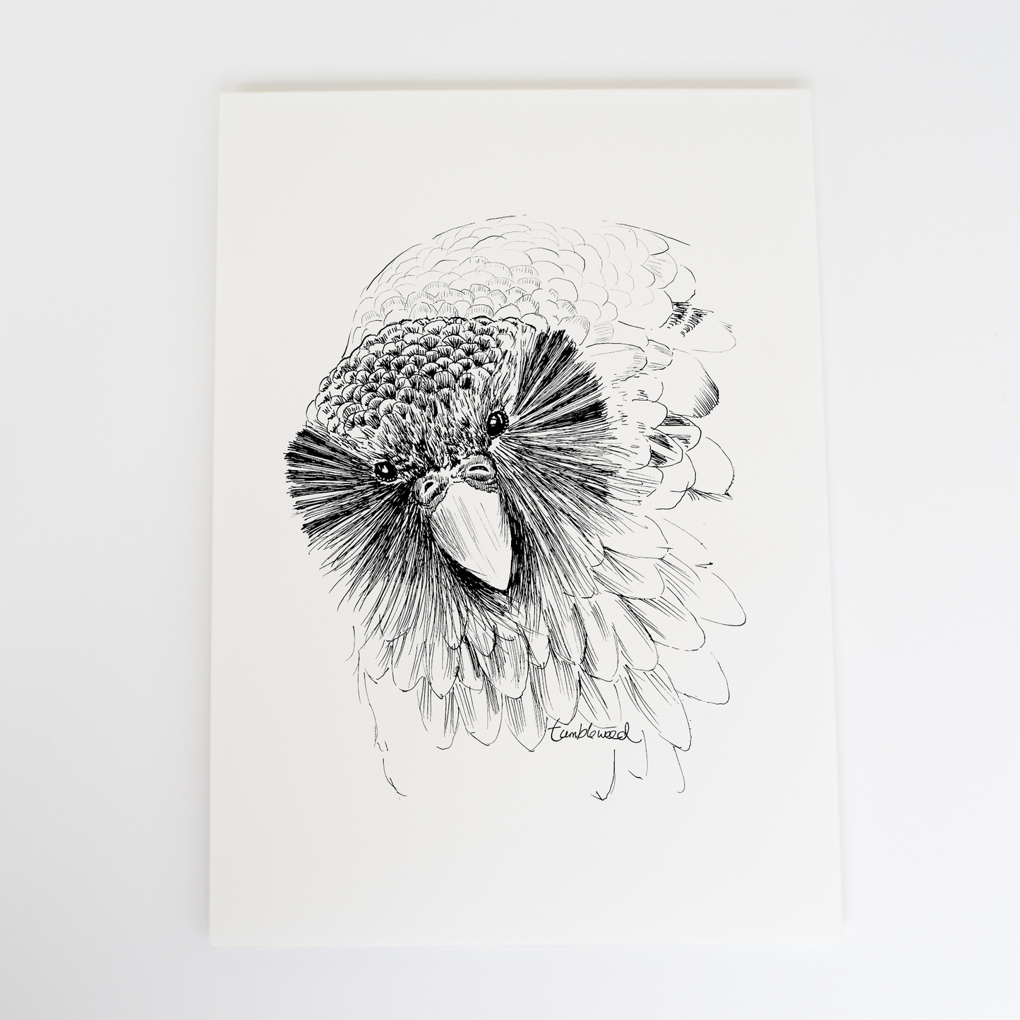 Sirocco the Kākāpō Art Print