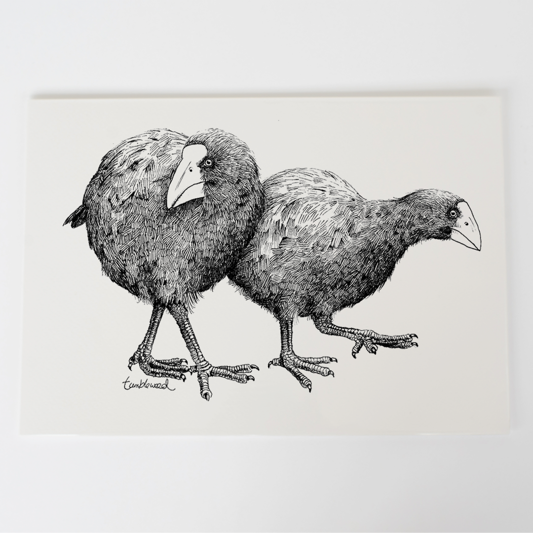 Takahē Art Print