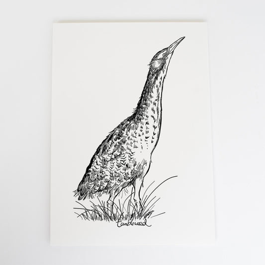 Matuku-hūrepo/bittern Art Print