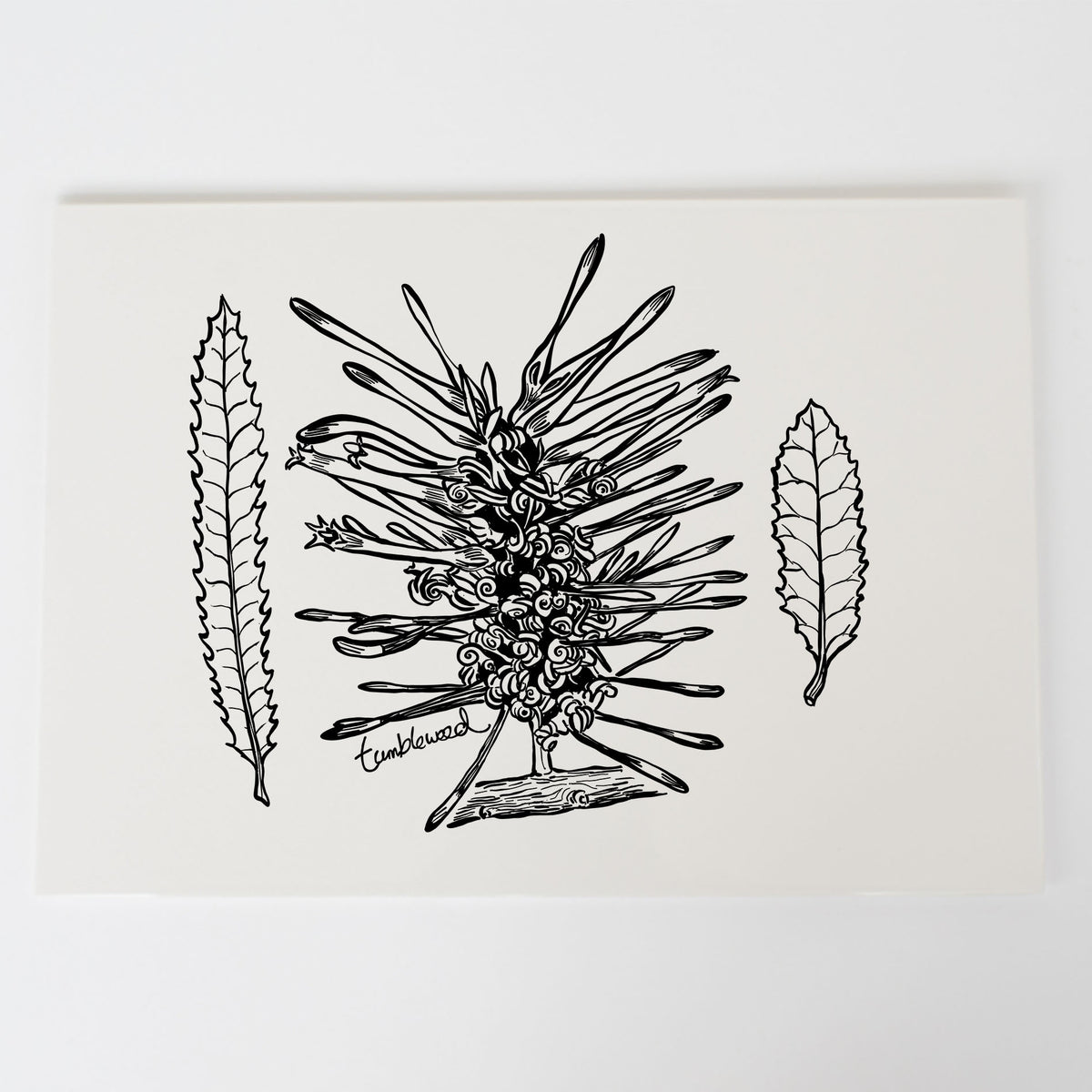 Rewarewa Art Print