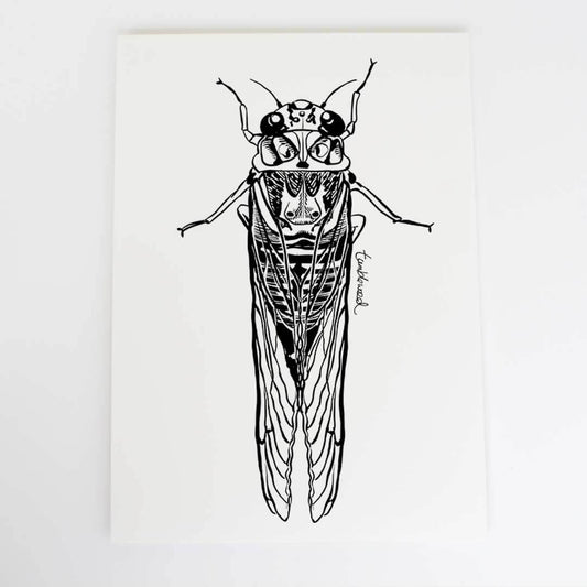 A4 art print of featuring Cicada/kihikihi-wawā design on white archival paper.