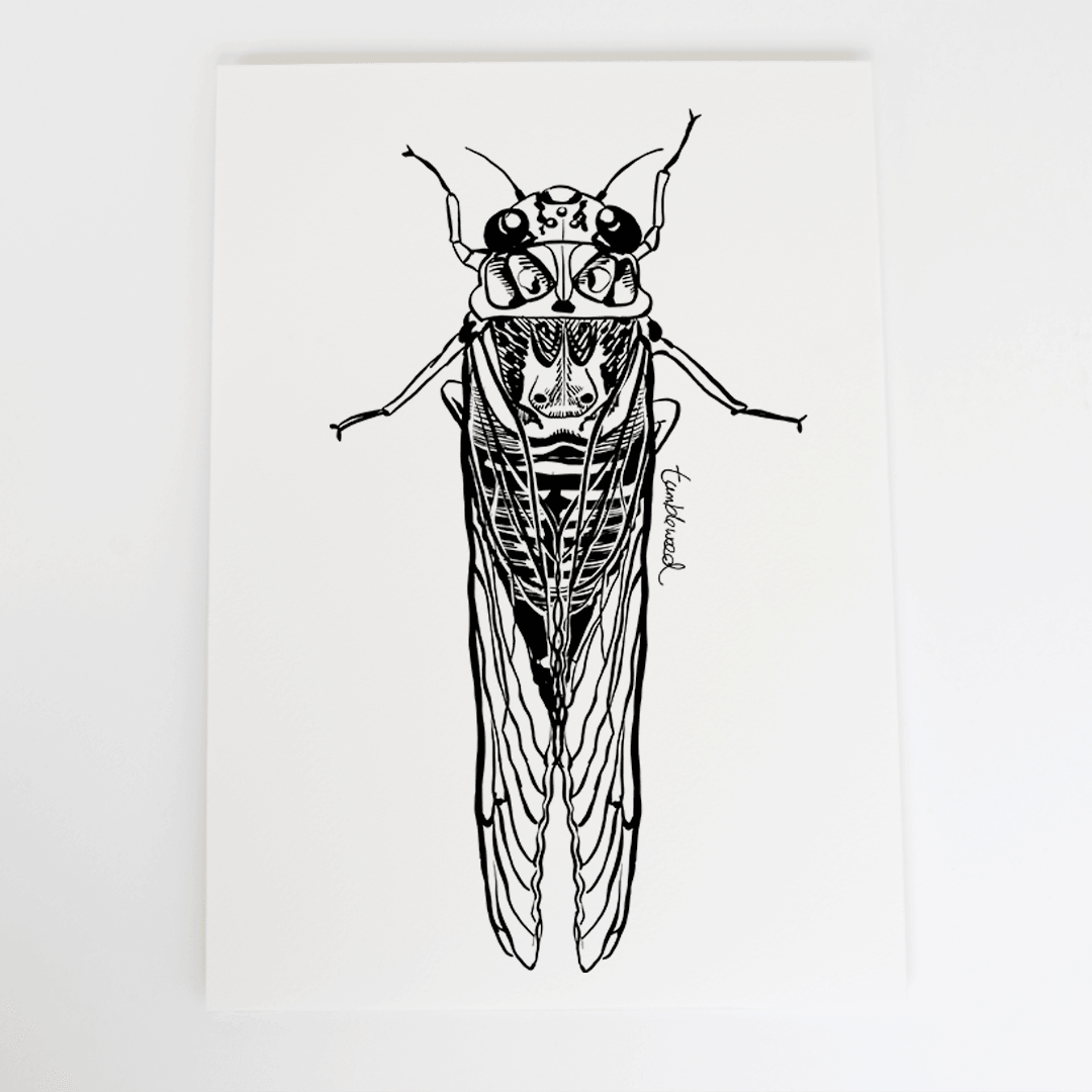 Cicada/kihikihi-wawā Art Print