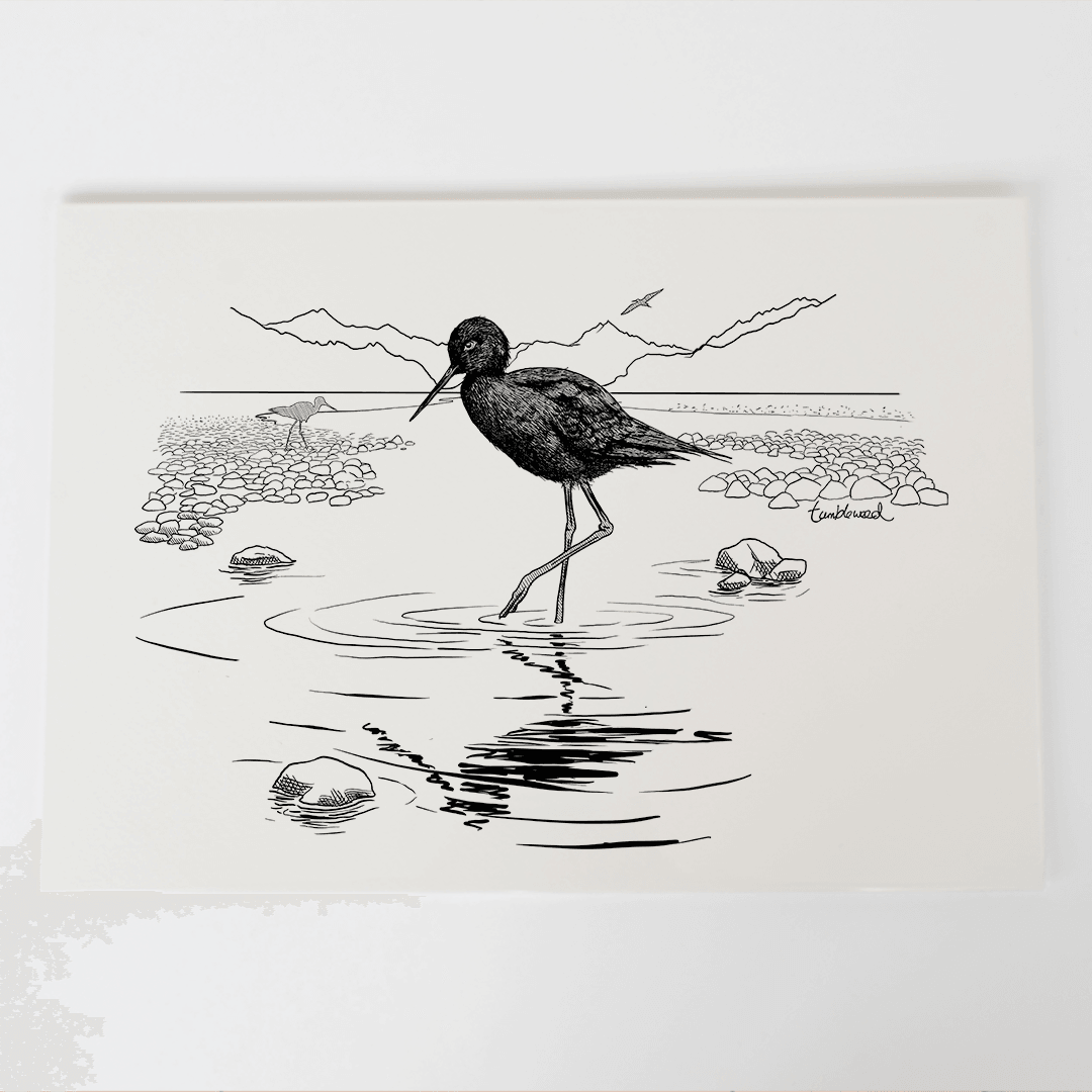 Black stilt/Kakī Art Print