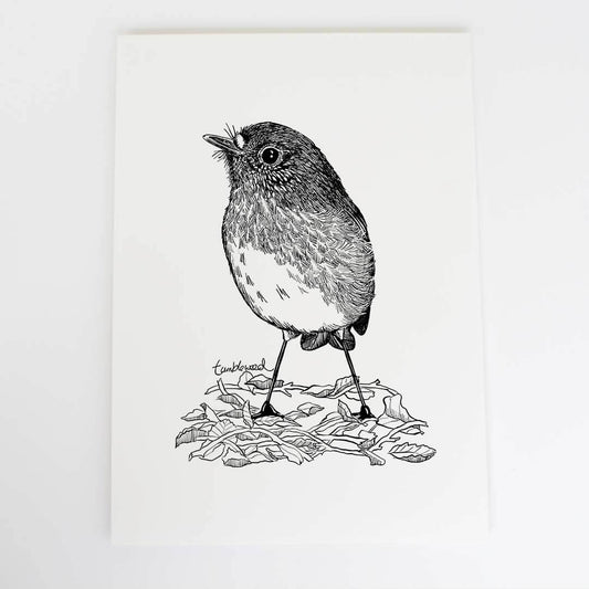 A4 art print of featuring North Island Robin/toutouwai  design on white archival paper.