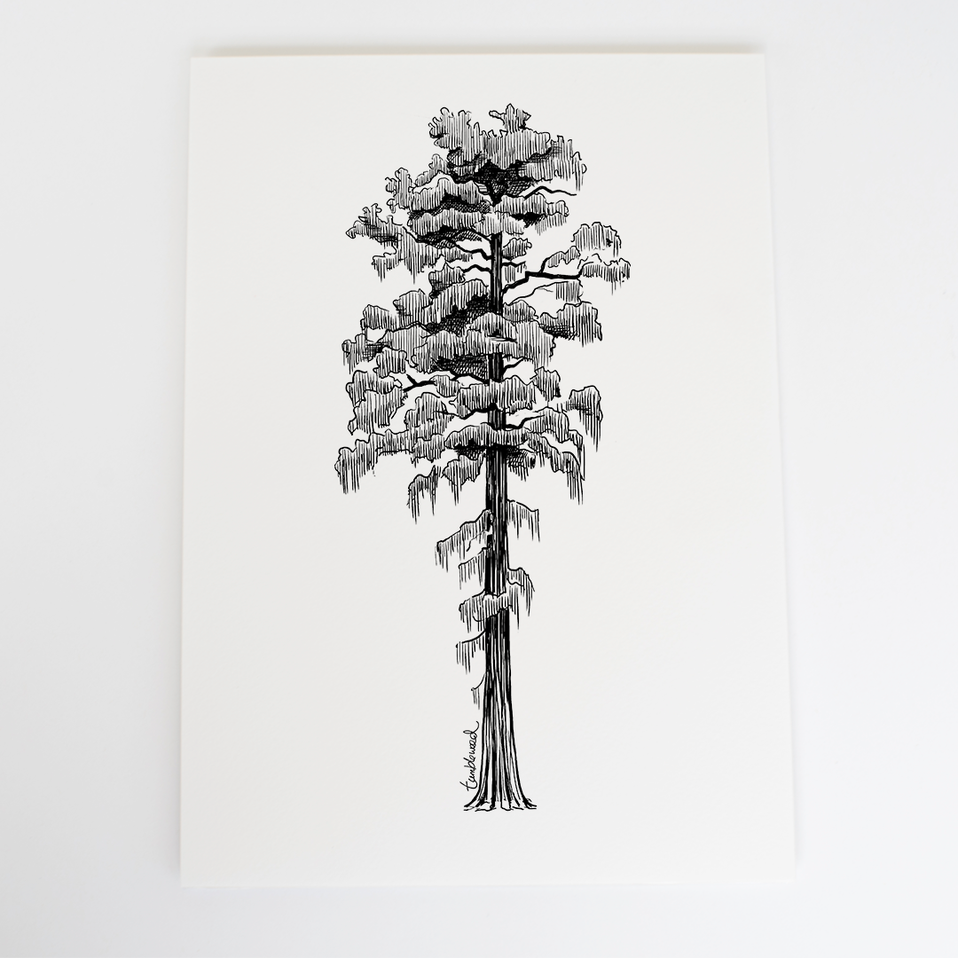 Rimu Art Print