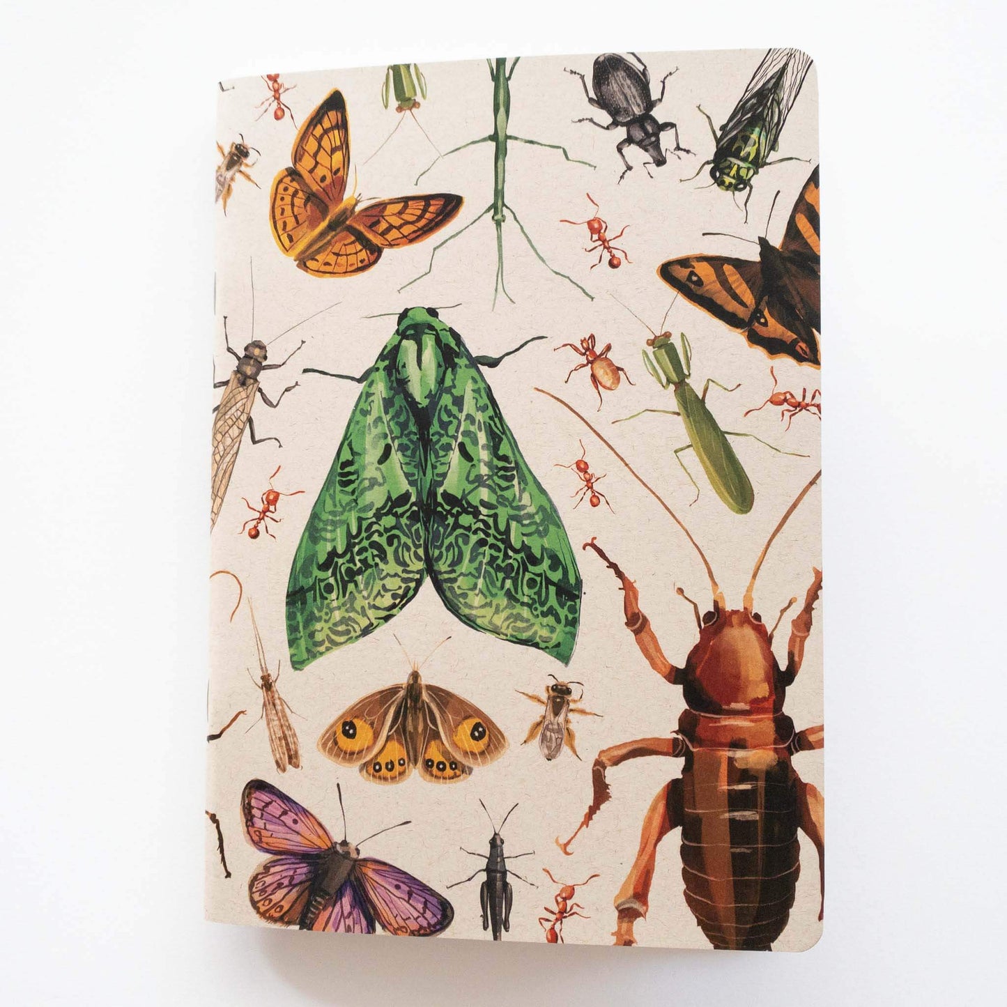 Painted Insect Notebook