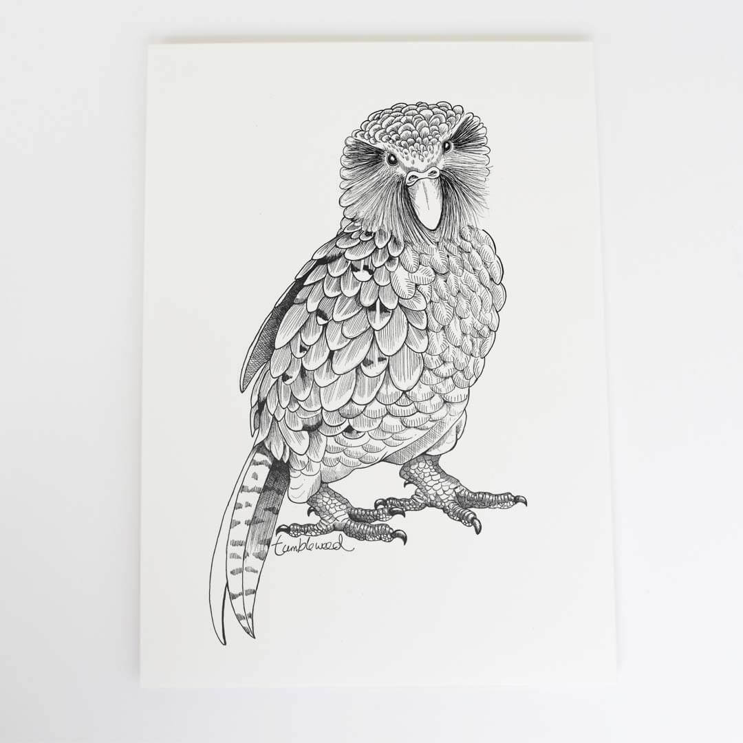 A4 art print of featuring Kākāpō design on white archival paper.