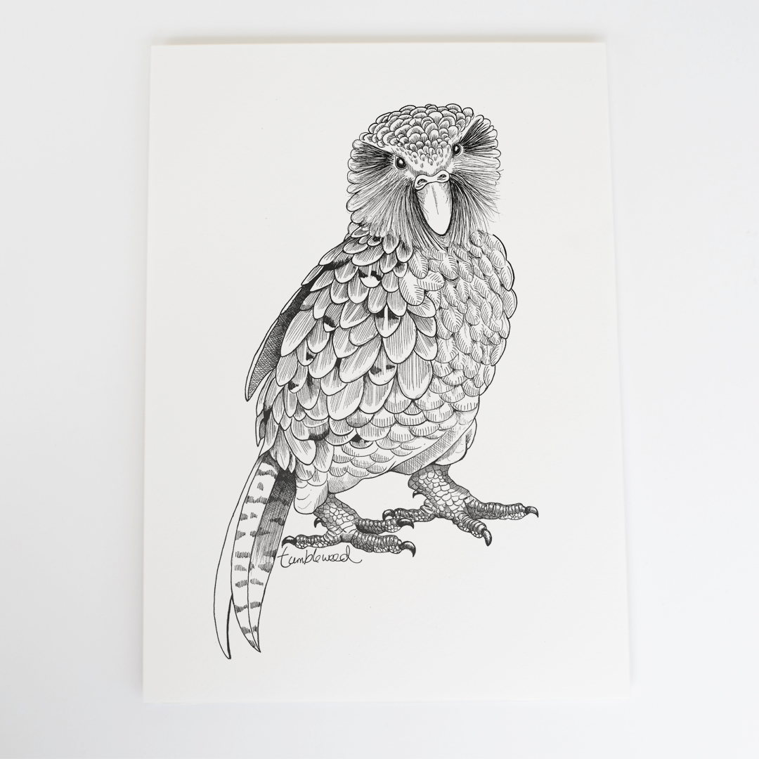 Kākāpō Art Print