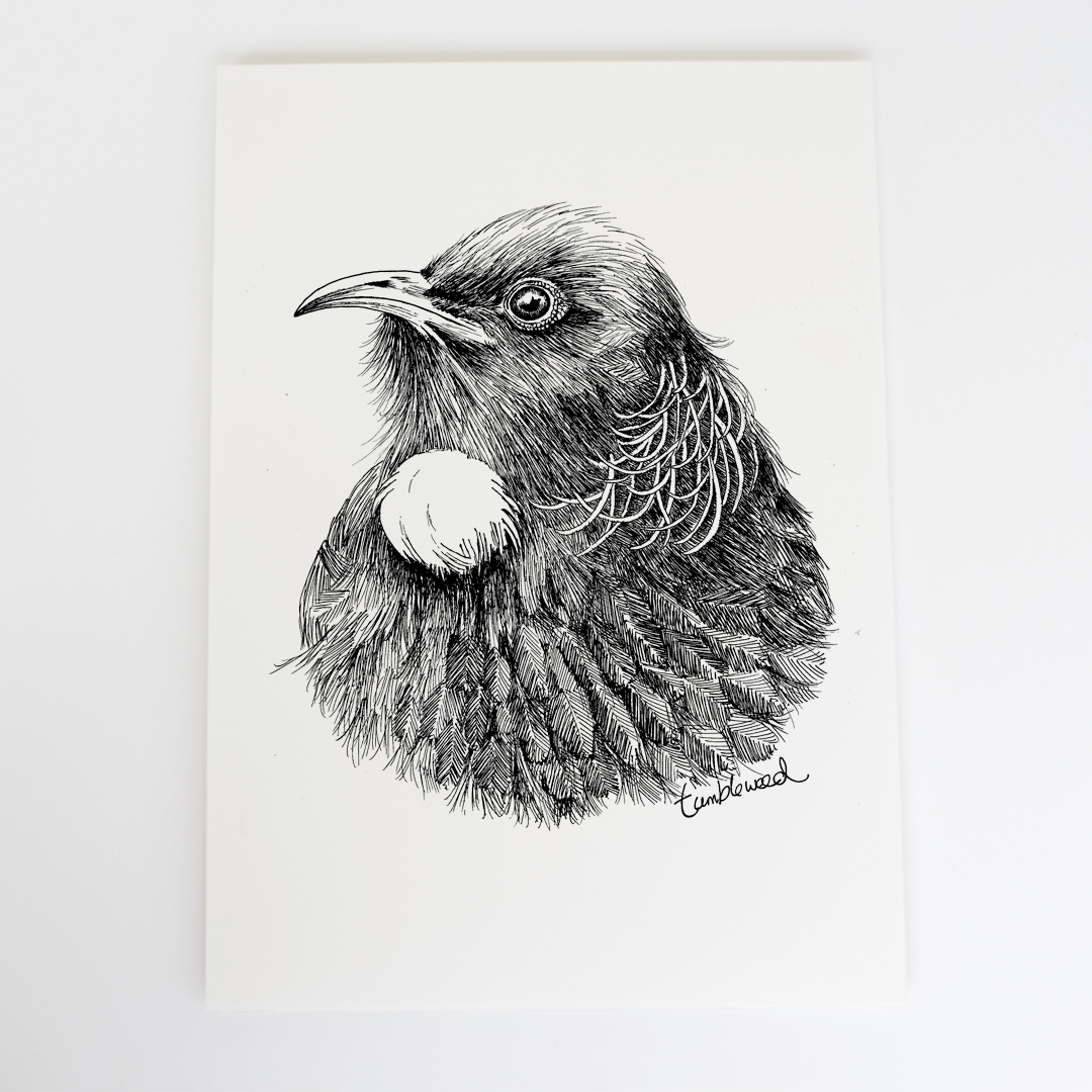 Tui Art Print