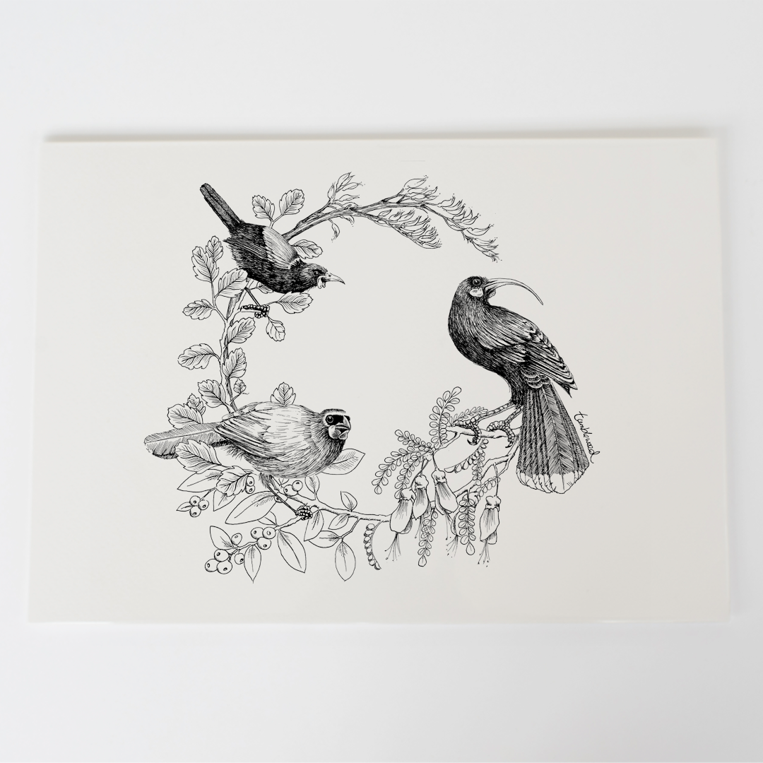 Kōkako huia saddleback/tīeke Art Print